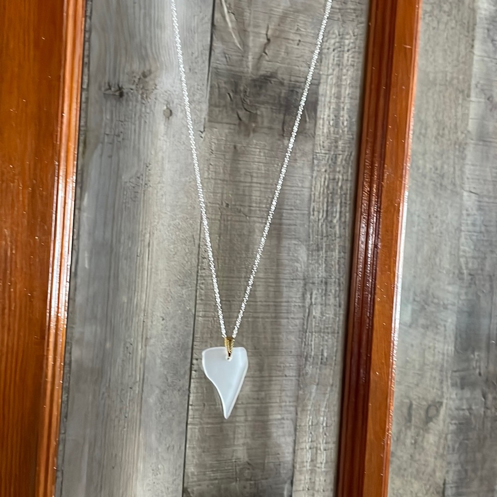 Montana Yellowstone River Glass Necklace